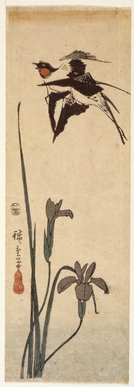 Andorinhas e Íris (impressão em bloco de madeira a cores) de Ando or Utagawa Hiroshige
