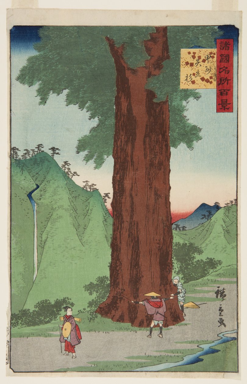 O Cedro Yatate na província de Kai (K?sh? Yatate sugi) (impressão em bloco de madeira colorida) de Ando or Utagawa Hiroshige