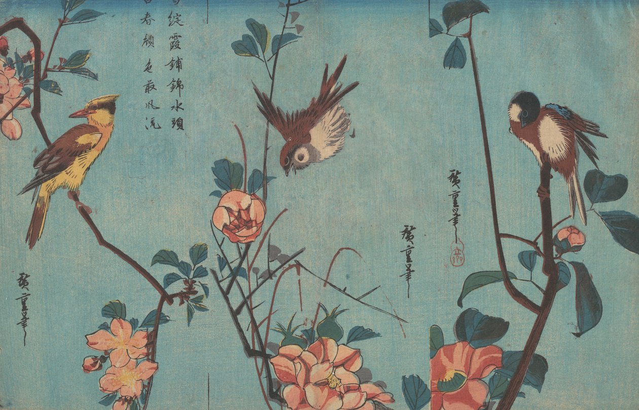 Chapim e Camélias, Pardal e Rosas Selvagens e Oriole-de-papo-preto e Flores de Cerejeira, c.1833 (impressão em xilogravura) de Ando or Utagawa Hiroshige
