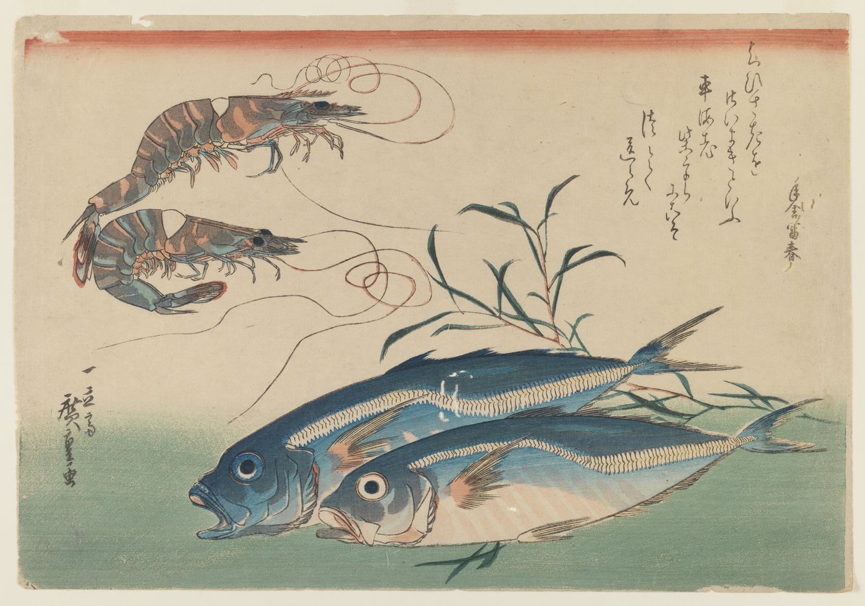 Dois Camarões com Dois Cavala, c.1832-33 (woodblock colorido sobre papel) de Ando or Utagawa Hiroshige