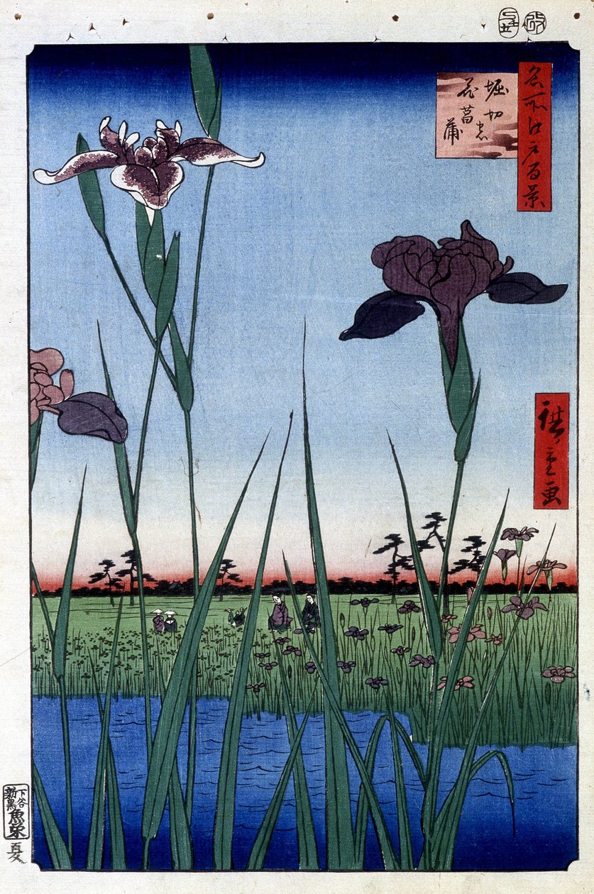 Water Iris - impressão japonesa por Utagawa Hiroshige. Cem visualizações de Edo de Ando or Utagawa Hiroshige