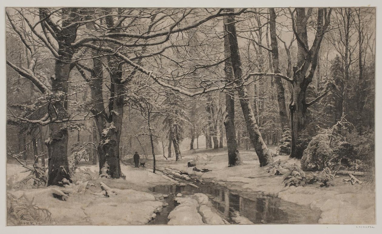 Dia de inverno em uma floresta de André Bork