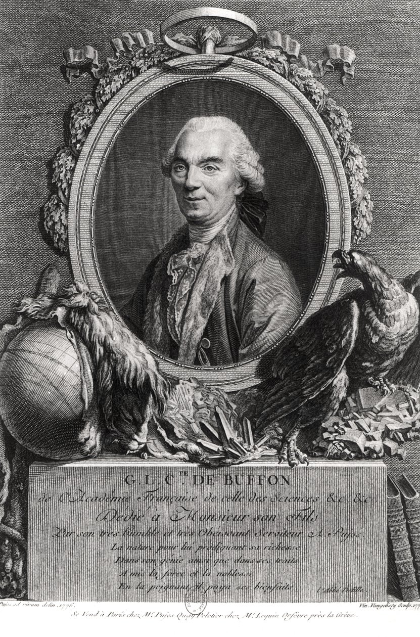 Georges-Louis Leclerc (1707-88) Conde de Buffon, gravado por Vincenzio Vangelisti (1738-98) 1777 de Andre Pujos