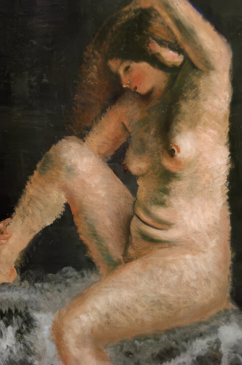 A bela modelo de Andre Derain