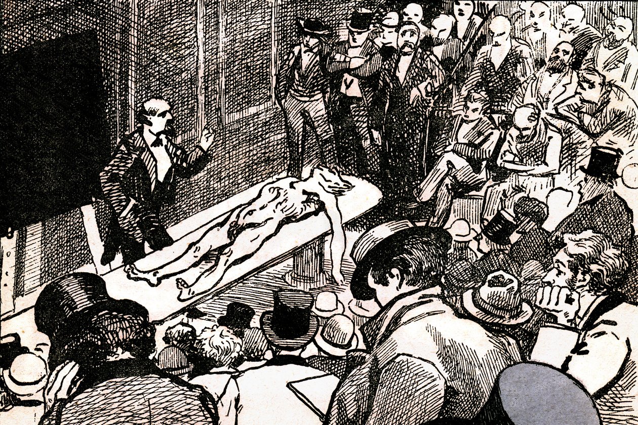 Ilustração de 