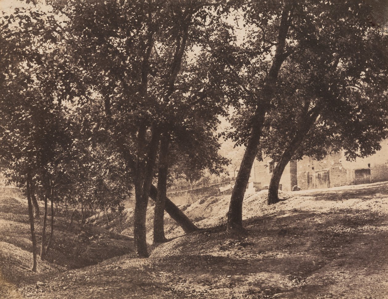 Árvores,c. 1855 (foto) de André Giroux