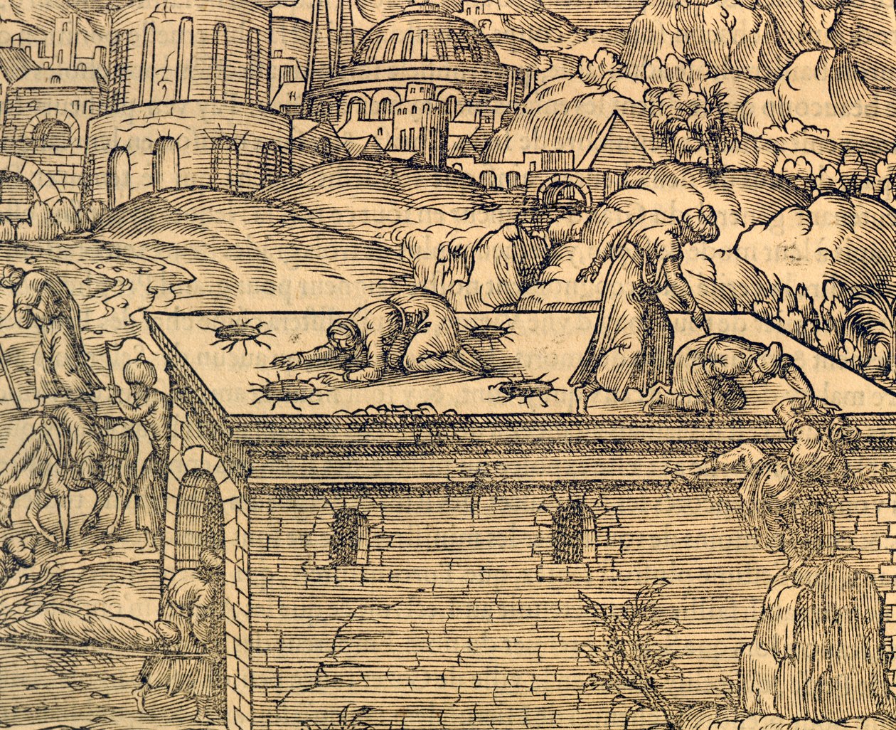 Cemitério cristão de Acheldemach, gravura de Cosmographie universelle, de Andre Thevet (1504-1592), Paris de Andre Thevet