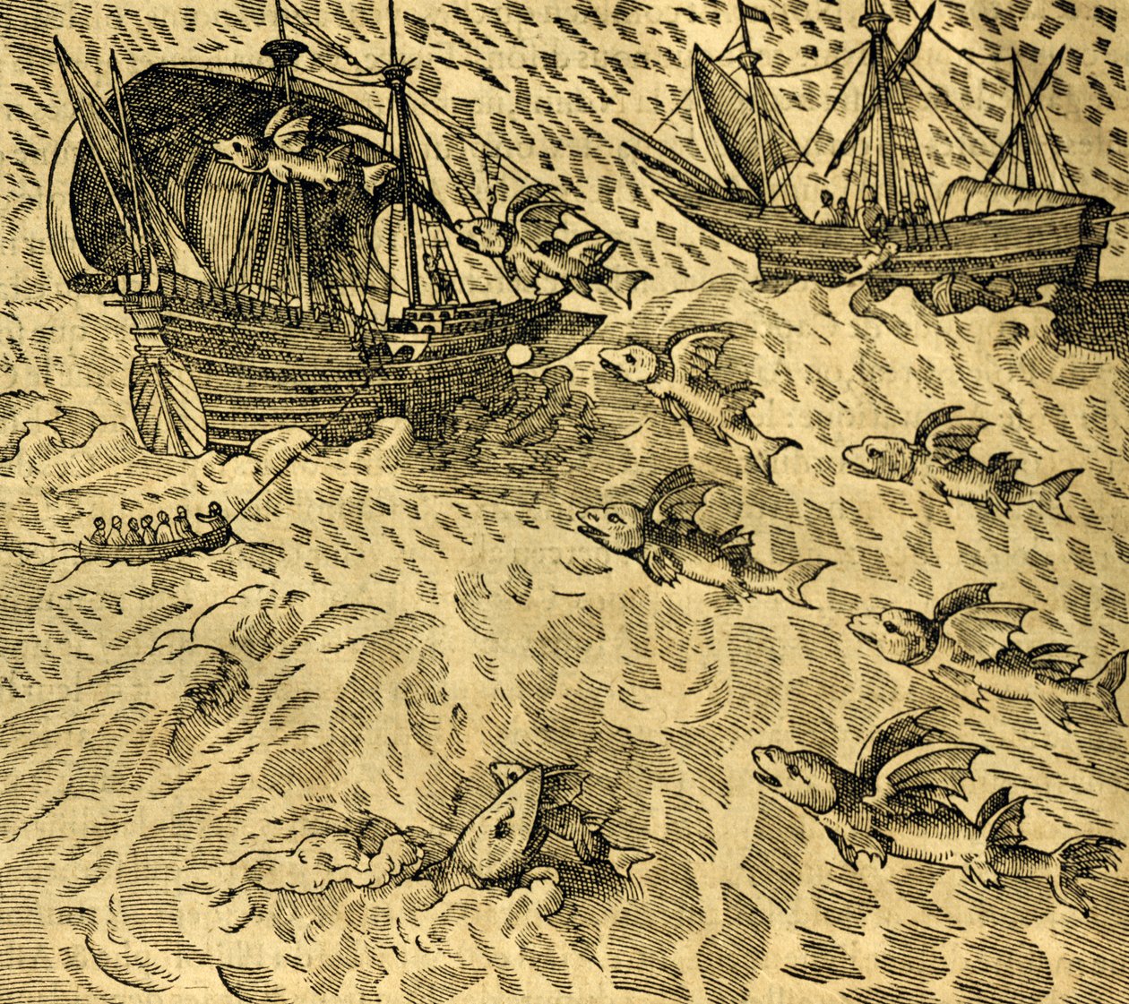Peixes voadores em mares tropicais, gravura da Cosmographie Universelle, de Andre