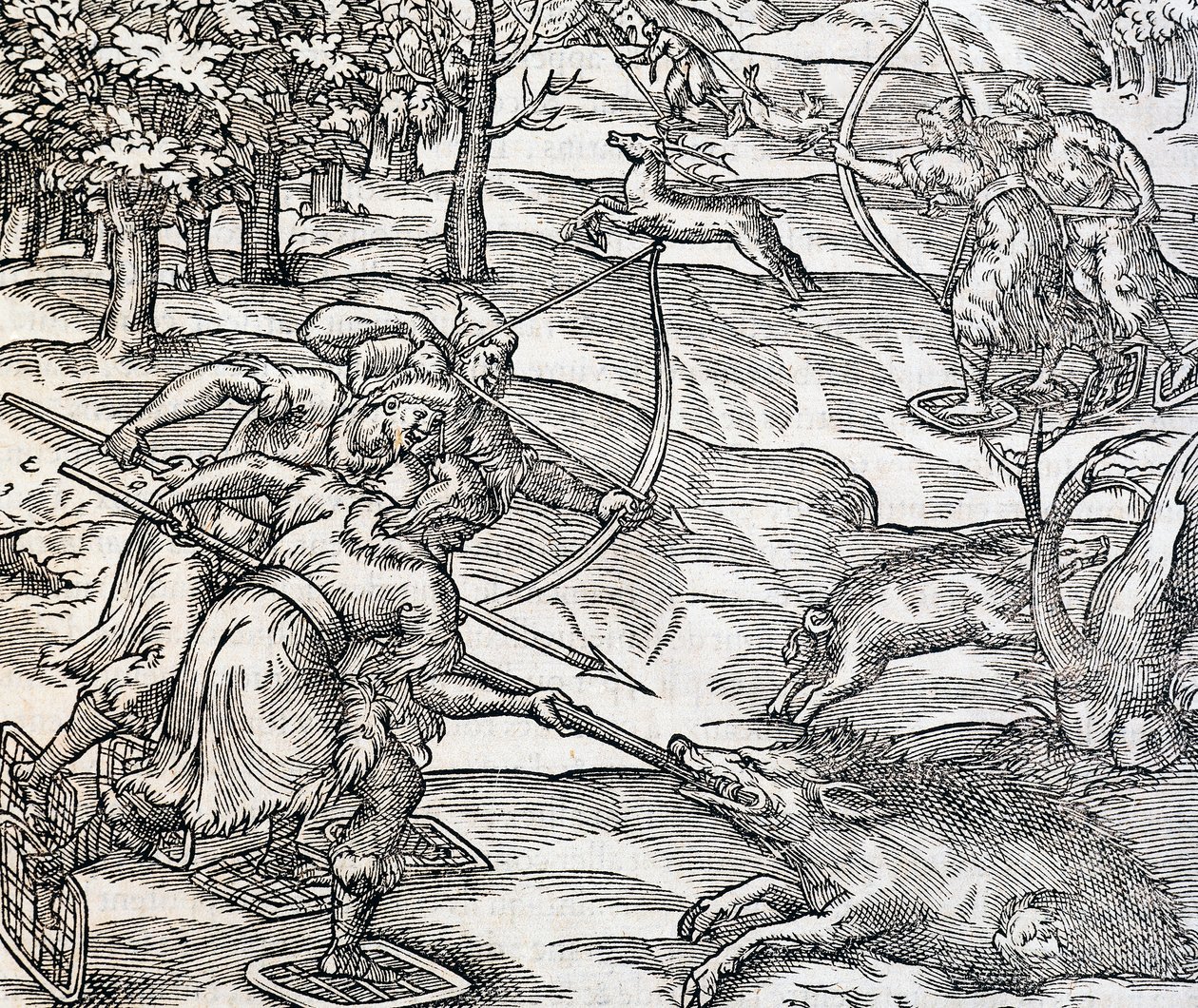Caça ao javali indígena, gravura da Cosmologia Universal, de Andre Thevet (1504-1592), Paris de Andre Thevet