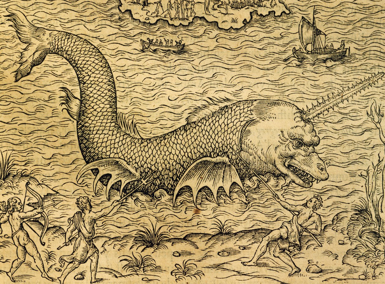 Monstro marinho, gravura de Universal Cosmology, de Andre Thevet (1504-1592), Paris de Andre Thevet