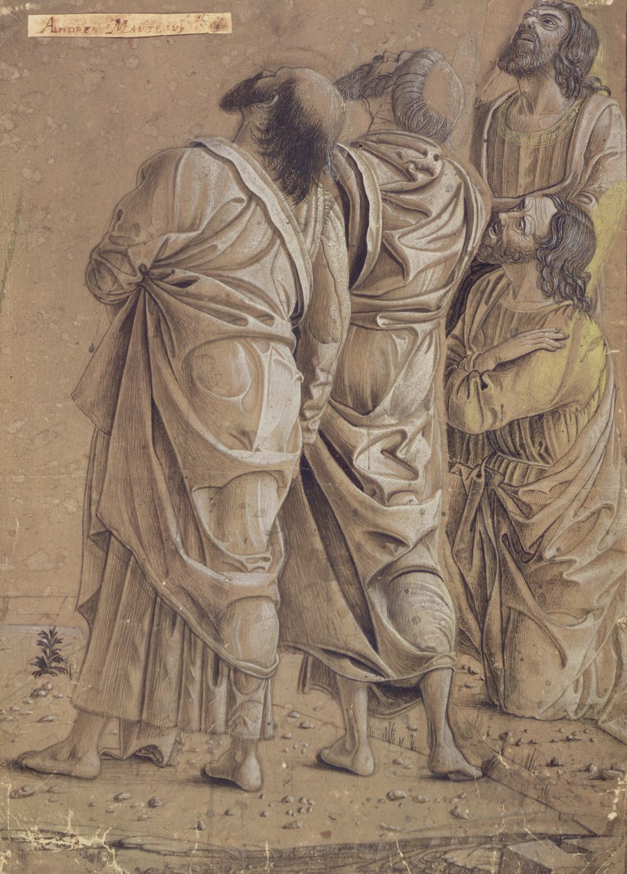 Grupo de Apóstolos da Ascensão de Cristo, c.1506 (tintas coloridas, lavagem marrom) de Andrea Mantegna