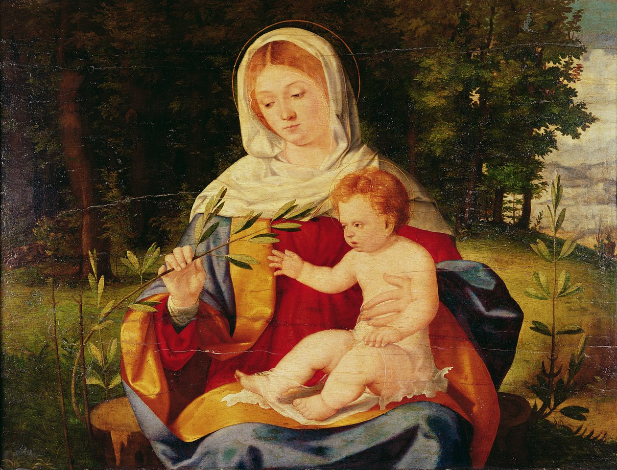 A Virgem e a Criança com um broto de Azeitona, c.1515 (óleo sobre madeira) de Andrea Previtali