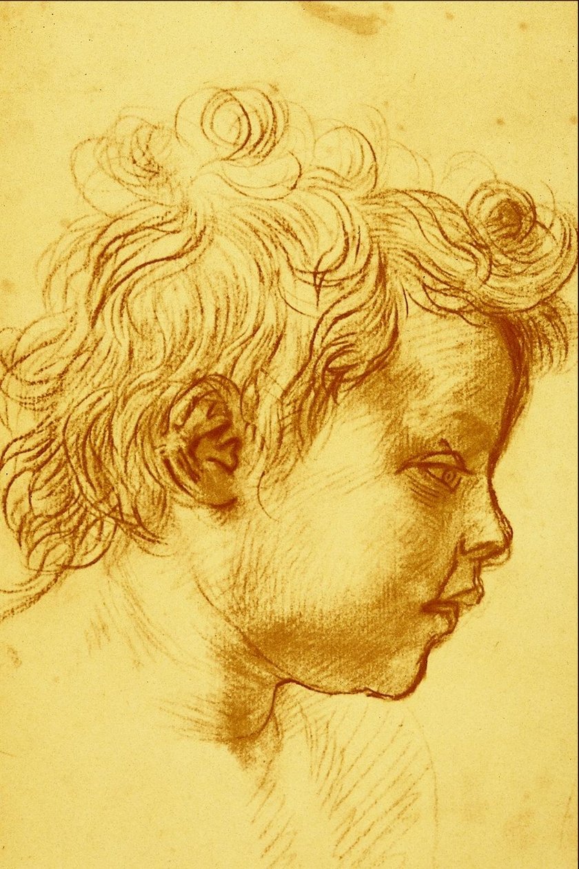 Andrea del Sarto de Andrea del Sarto