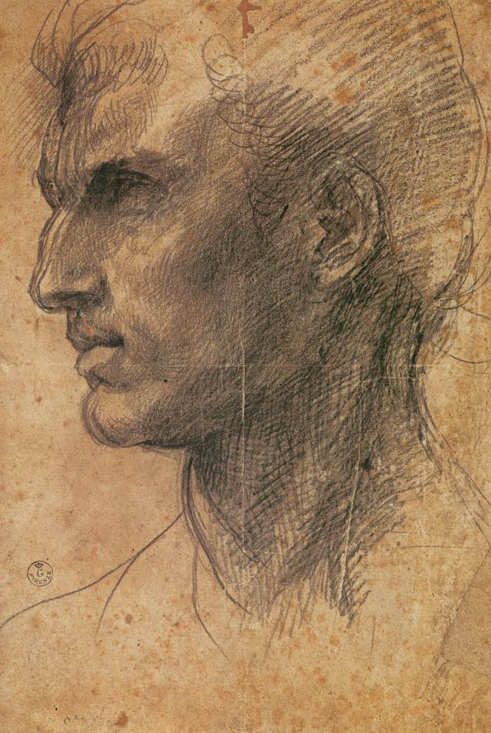 Chefe de um homem de perfil voltado para a esquerda de Andrea del Sarto