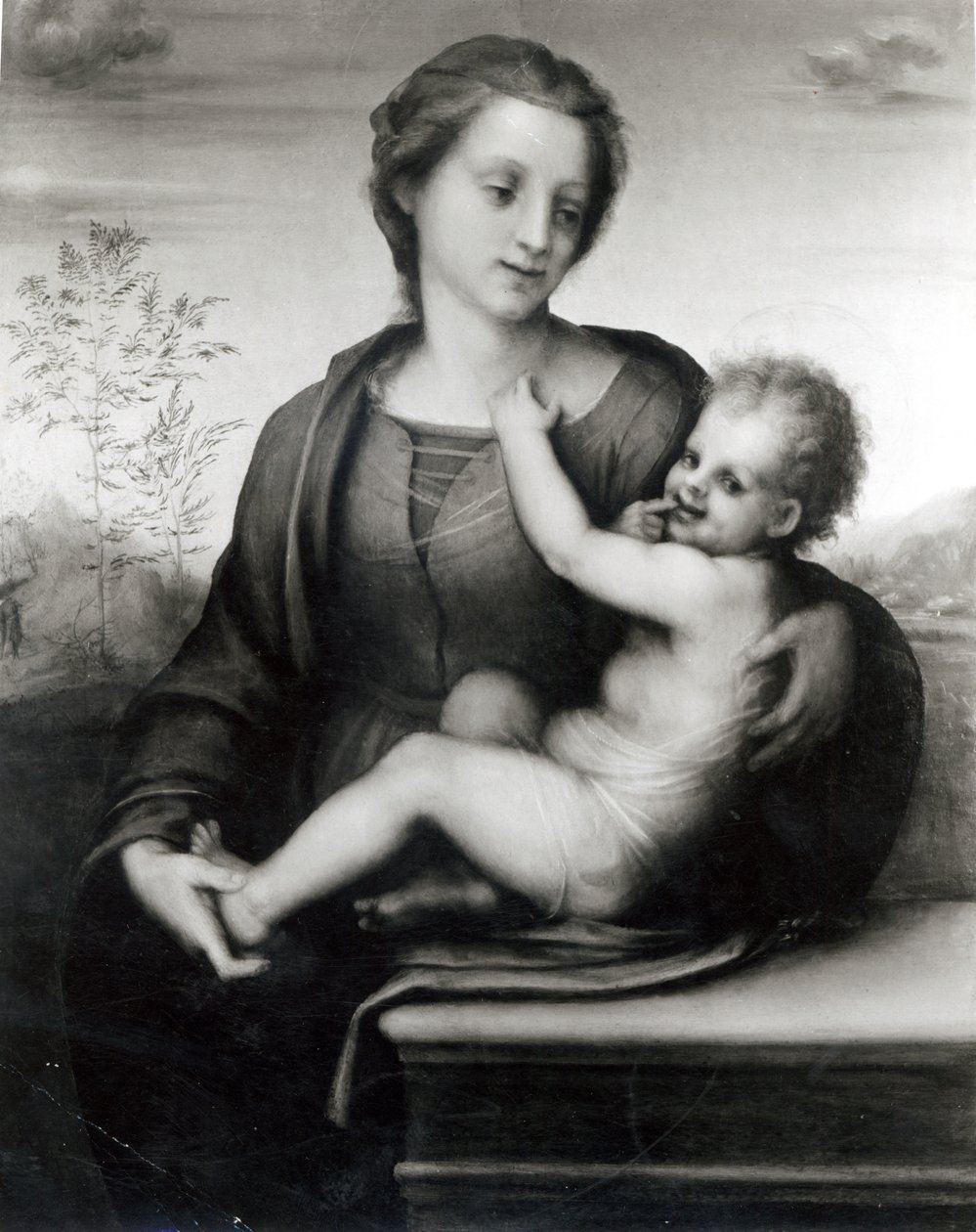 Madonna e criança (painel) de Andrea del Sarto