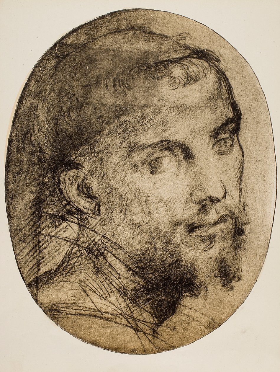 Estude para um retrato religioso de Andrea del Sarto
