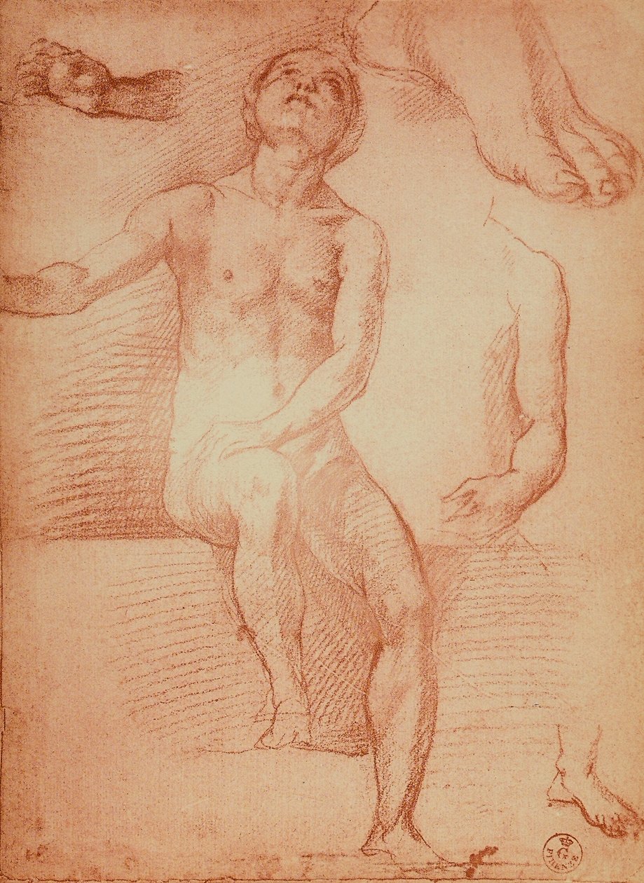 Estudo de uma figura nua e membros humanos, desenhando por Andrea del Sarto. Gabinete de Desenhos e Gravuras, Galeria Uffizi, Florença de Andrea del Sarto