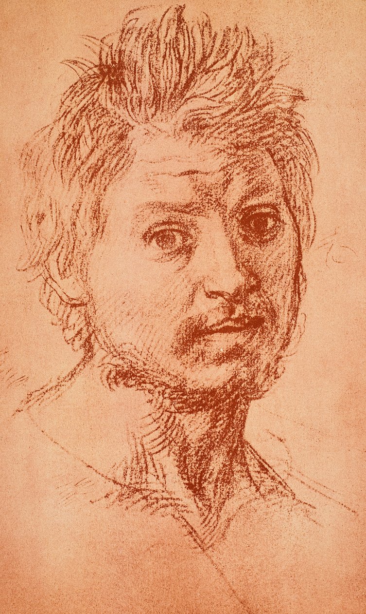 Cabeça viril de Andrea del Sarto