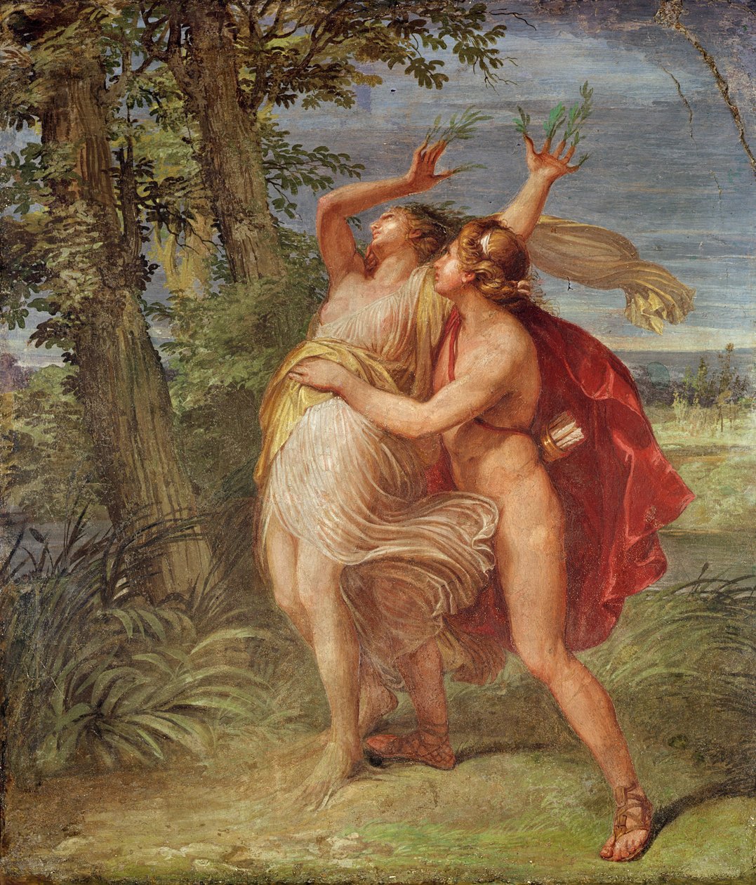 Apolo e Daphne de Andrea the Elder Appiani