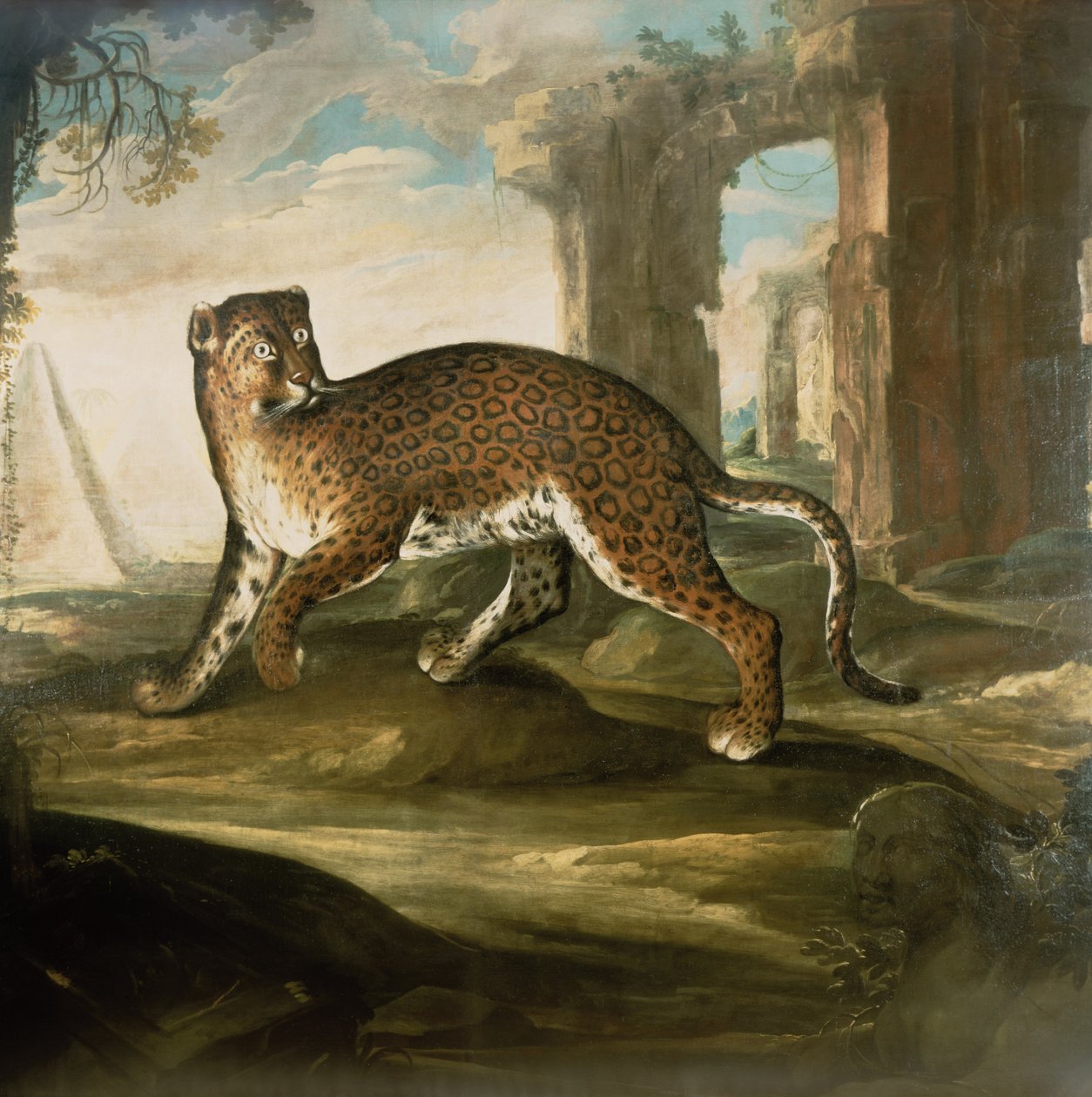 Para Jaguar de Andrea the Elder Scacciati