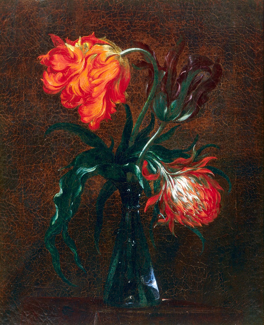 Vaso de vidro com duas tulipas de Andrea the Elder Scacciati
