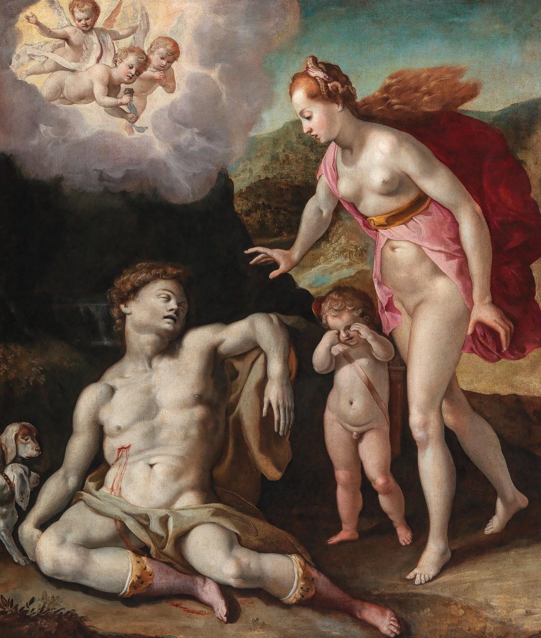Vénus de luto pela morte de Adónis de Andrea Boscoli