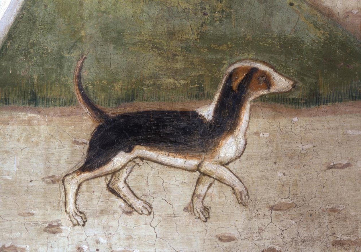 Atri, catedral, cachorro - fresco por A.Delitio de Andrea Delitio