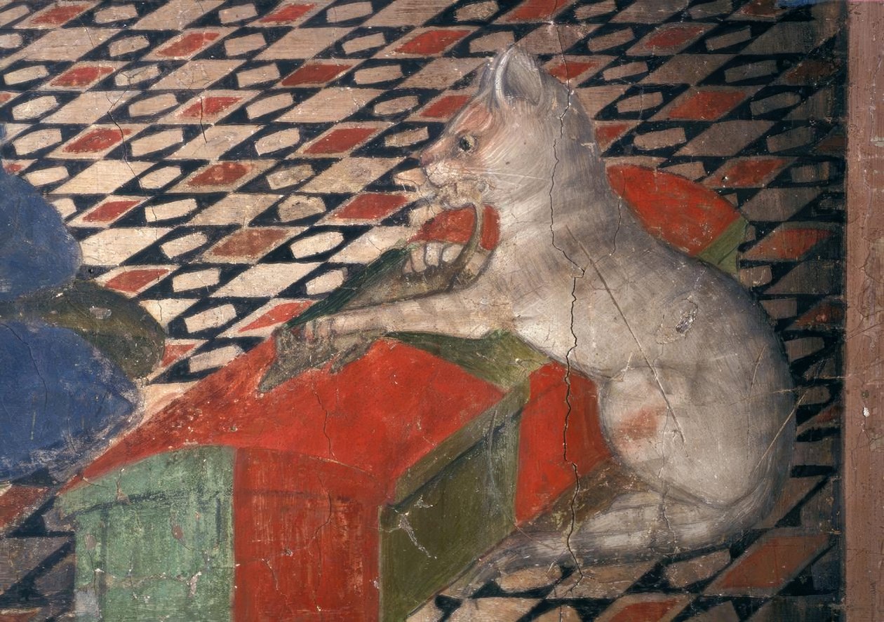 Atri, Dom, Katze - A.Delitio de Andrea Delitio