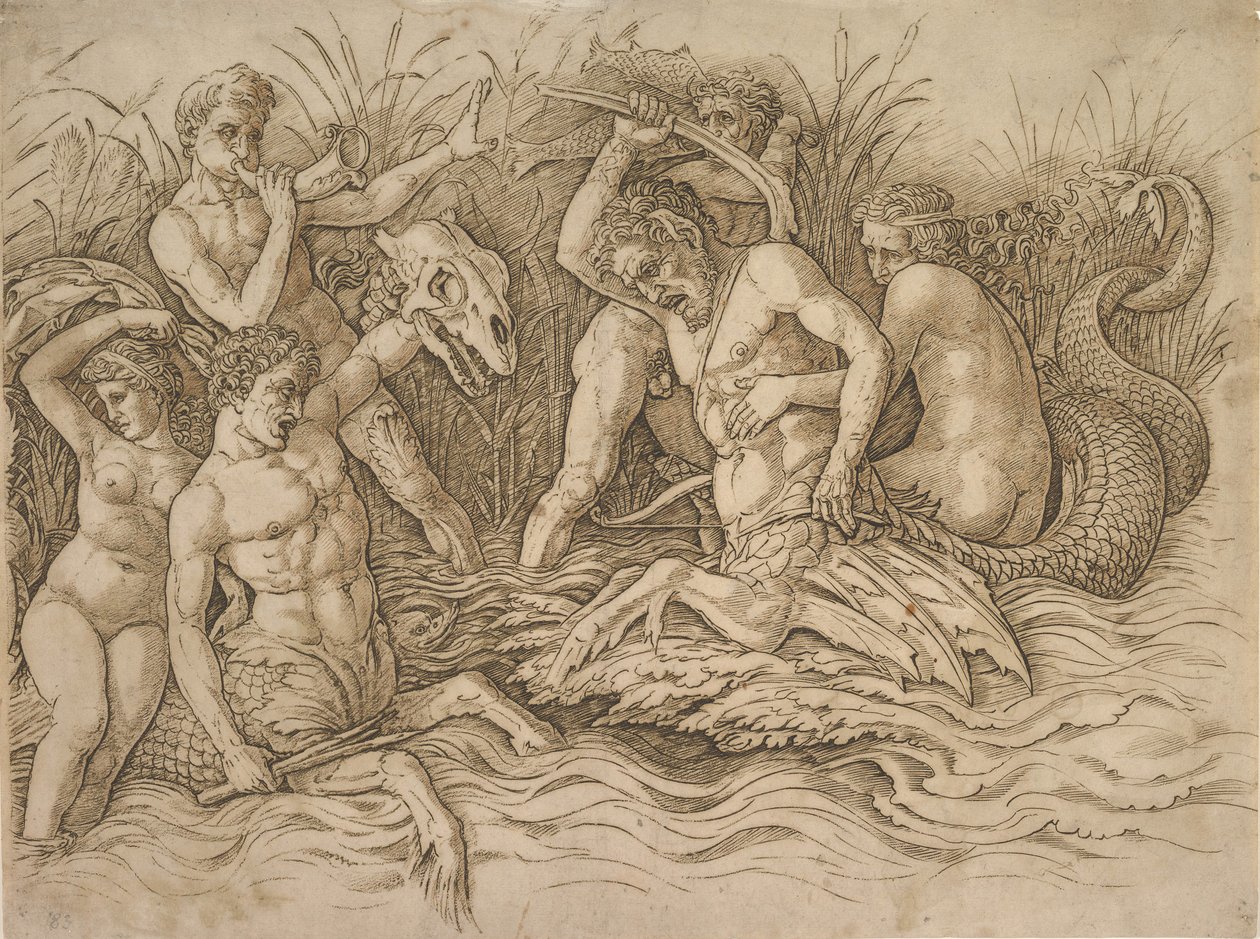 Batalha dos Deuses do Mar metade direita, ca. 1485-88. de Andrea Mantegna