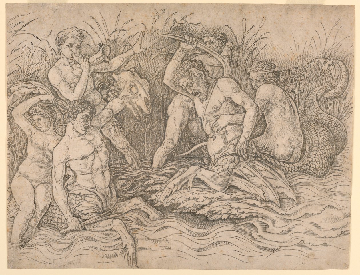 Batalha dos Deuses do Mar, metade direita de Andrea Mantegna