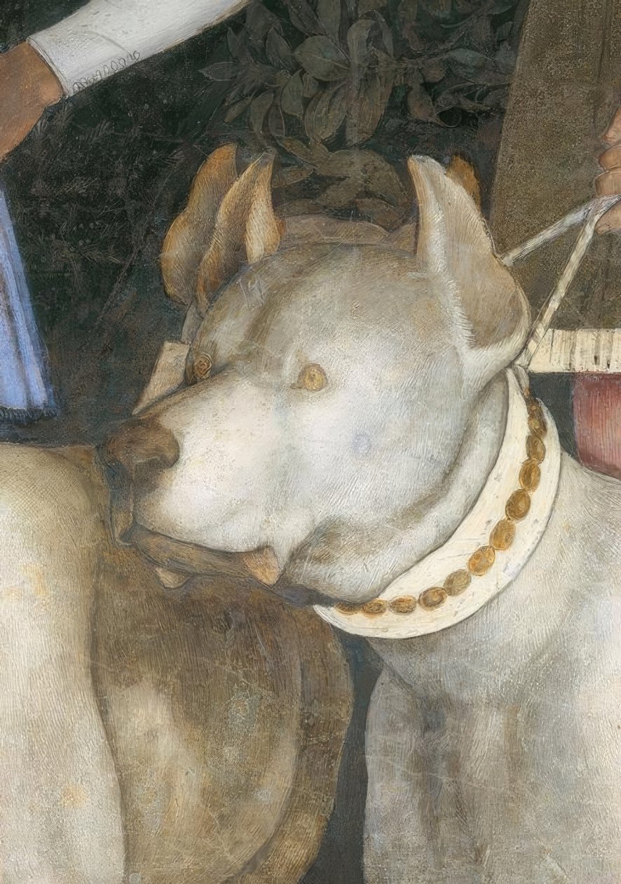 Encontro entre Margrave Lodovico III. Gonzaga com sua de Andrea Mantegna