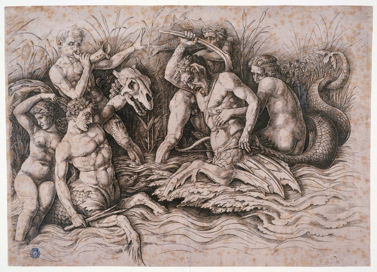Combate de dois tritões de Andrea Mantegna
