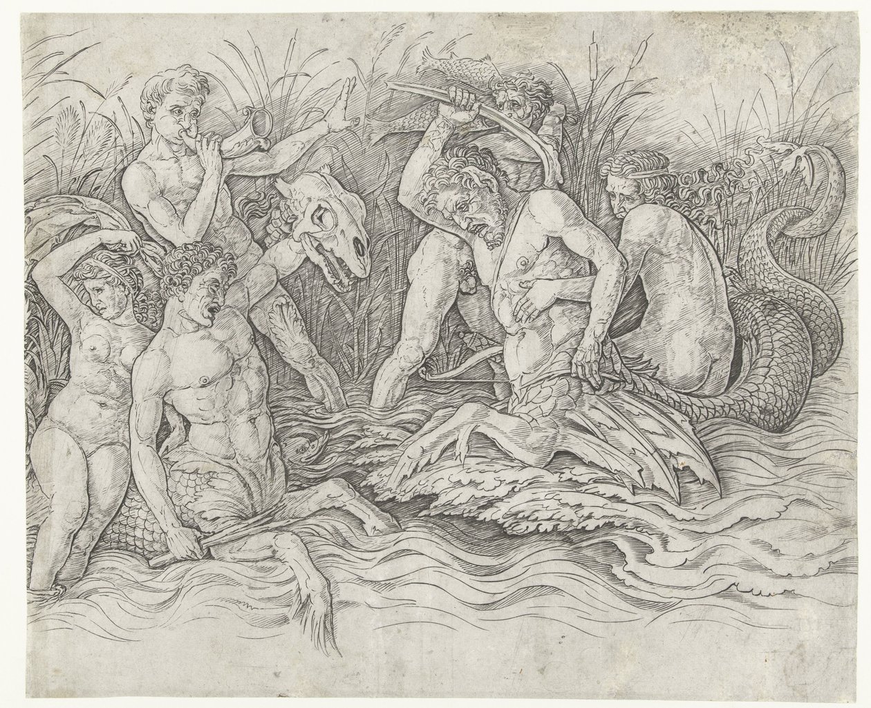 Luta entre tritões com nereidas nas costas
Batalha de deuses marinhos de Andrea Mantegna