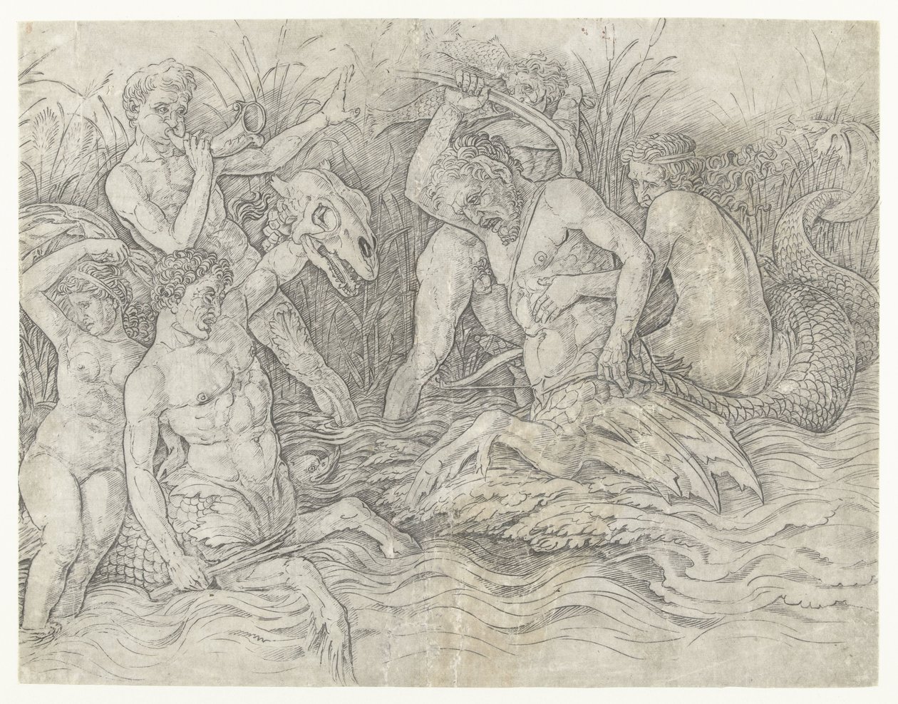 Batalha entre tritões com nereidas nas costas Batalha dos Deuses do Mar de Andrea Mantegna