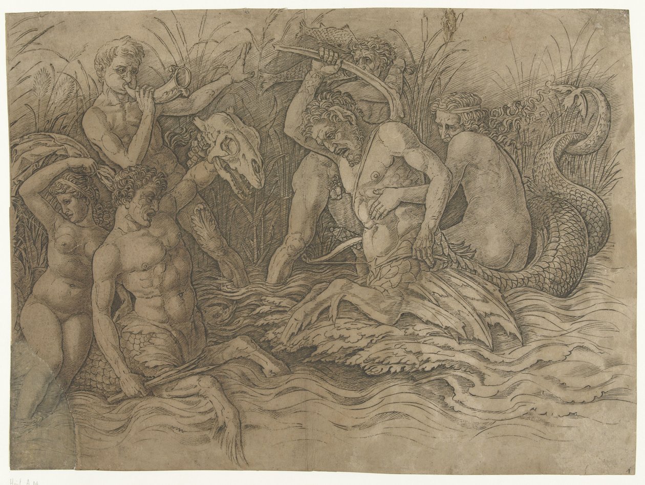 Luta entre tritões com nereidas nas costas
Batalha de deuses marinhos de Andrea Mantegna