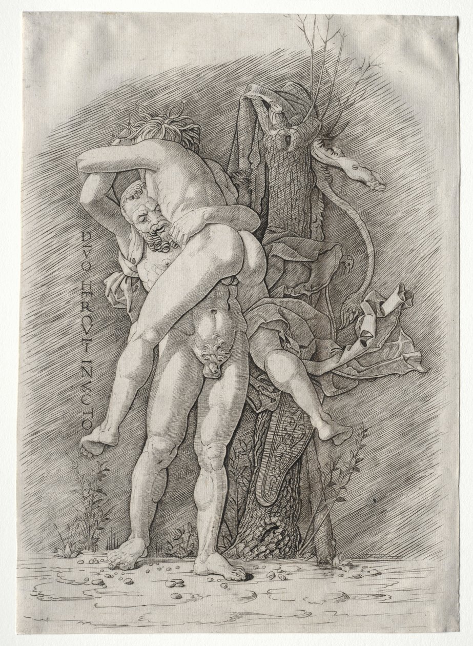 Hércules e Anteu, 1400. de Andrea Mantegna