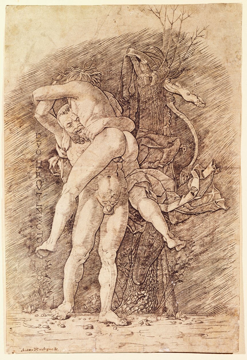 Hércules e Antaeus, de Andrea Mantegna (1431-1506), desenhando. de Andrea Mantegna