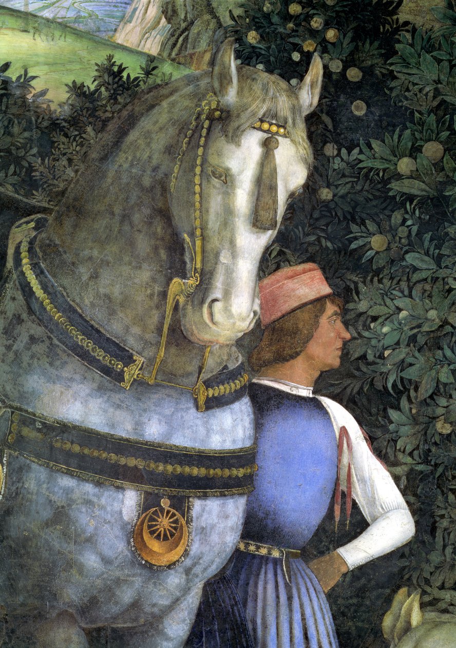 Cavalo e noivo, da Câmara degli Sposi ou Camera Picta, detalhe afresco 1465-74 de 78449 de Andrea Mantegna