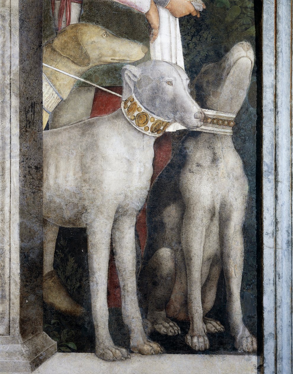 Cães molossianos, detalhe de Meeting Wall de Andrea Mantegna