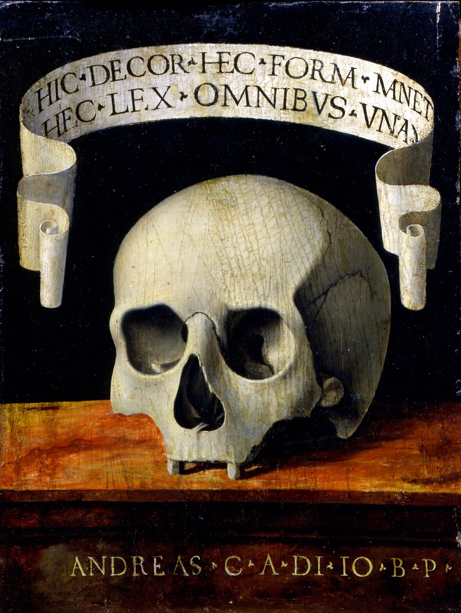 Memento Mori, início do século XVI. de Andrea Previtali