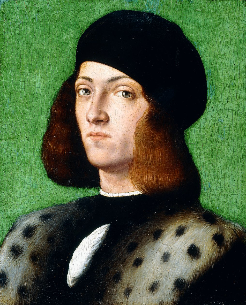 Retrato de um jovem cavalheiro, comprimento do busto, vestindo um boné preto e casaco preto, 1506 de Andrea Previtali