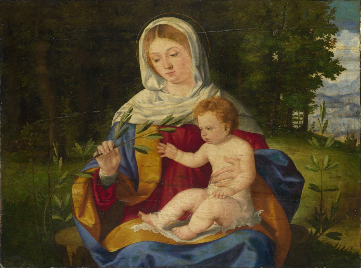A Virgem e o Menino com um Tiro de Azeitona, ca 1515 de Andrea Previtali