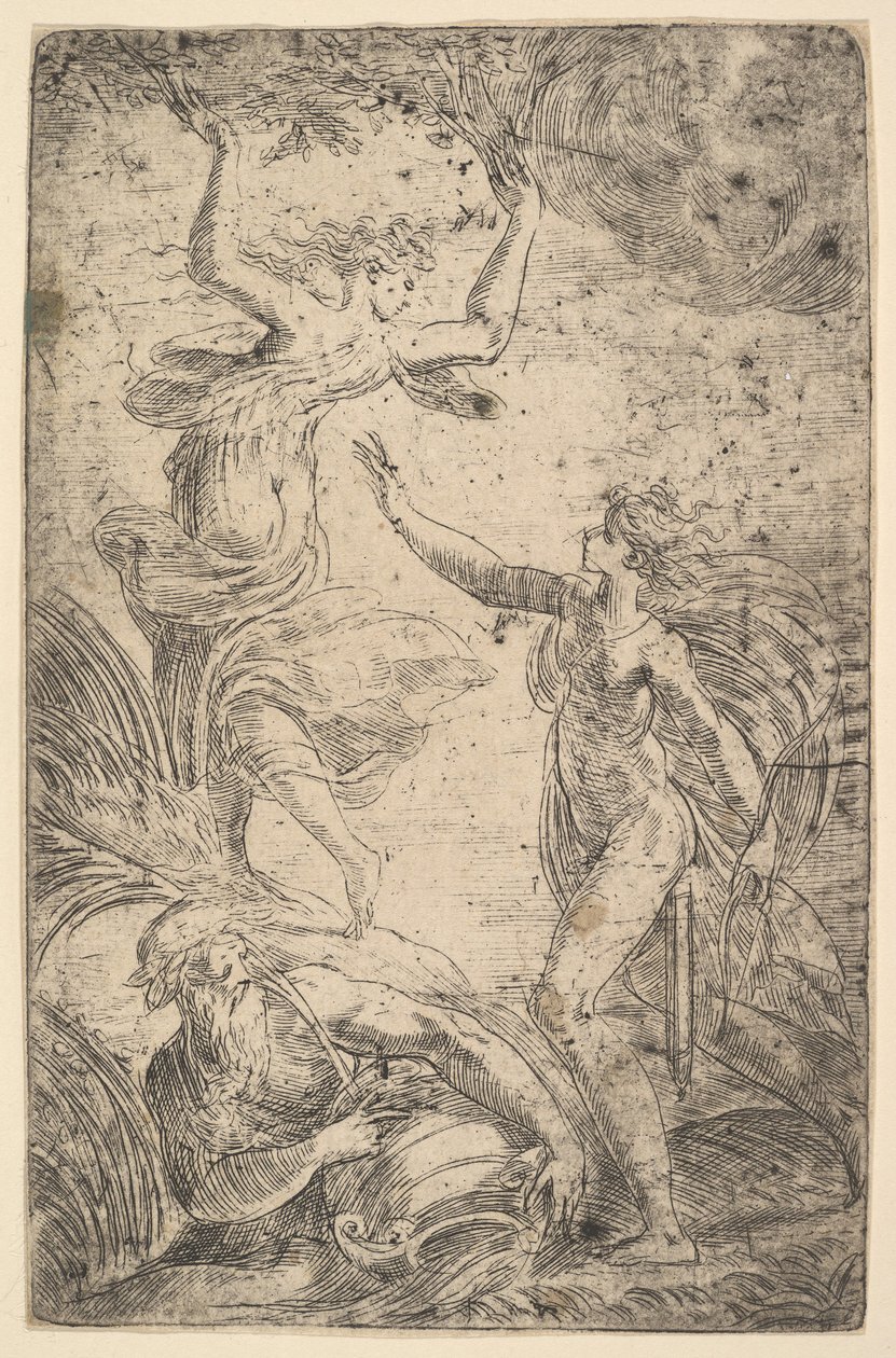 Apolo à direita segurando um arco atrás de Daphne à esquerda, ca. 1538-40. de Andrea Schiavone