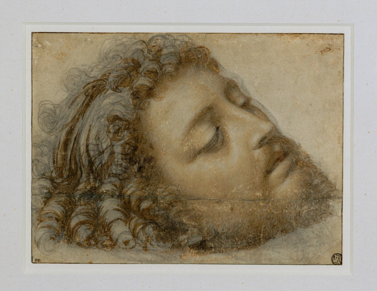 Cabeça de São João Batista ... de Andrea Solario
