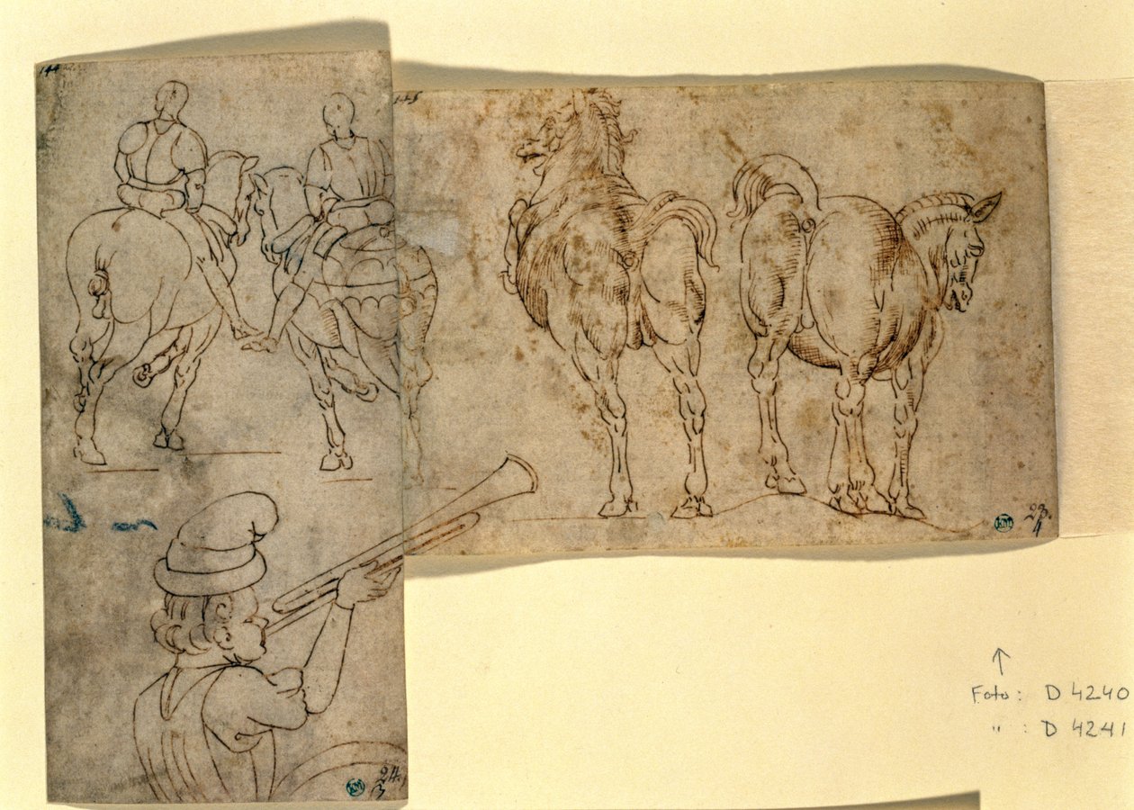 Inv no.38 recto Desenho de Cavalos, c. 1460-70 (caneta e tinta) de Andrea Verrocchio