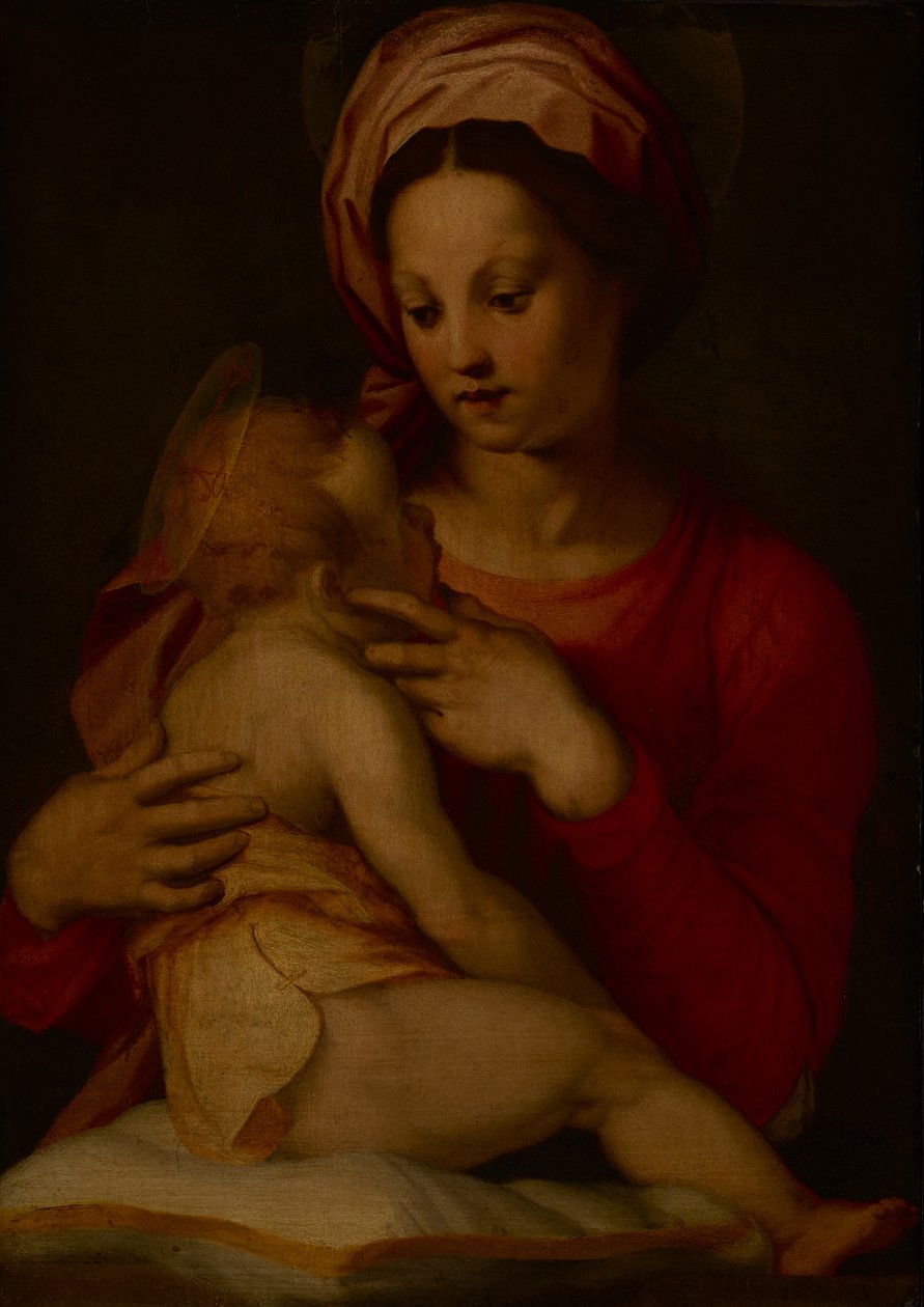 A Madona e o Menino (óleo no painel) de Andrea del (attr.to) Sarto
