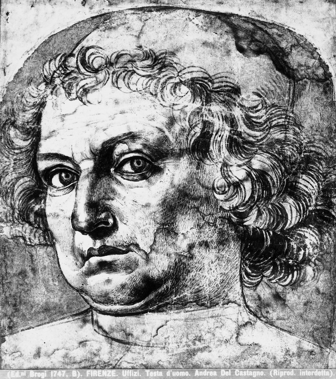 Mans cabeça, ou retrato de Andrea del Verrocchio, c.1450 de Andrea del Castagno