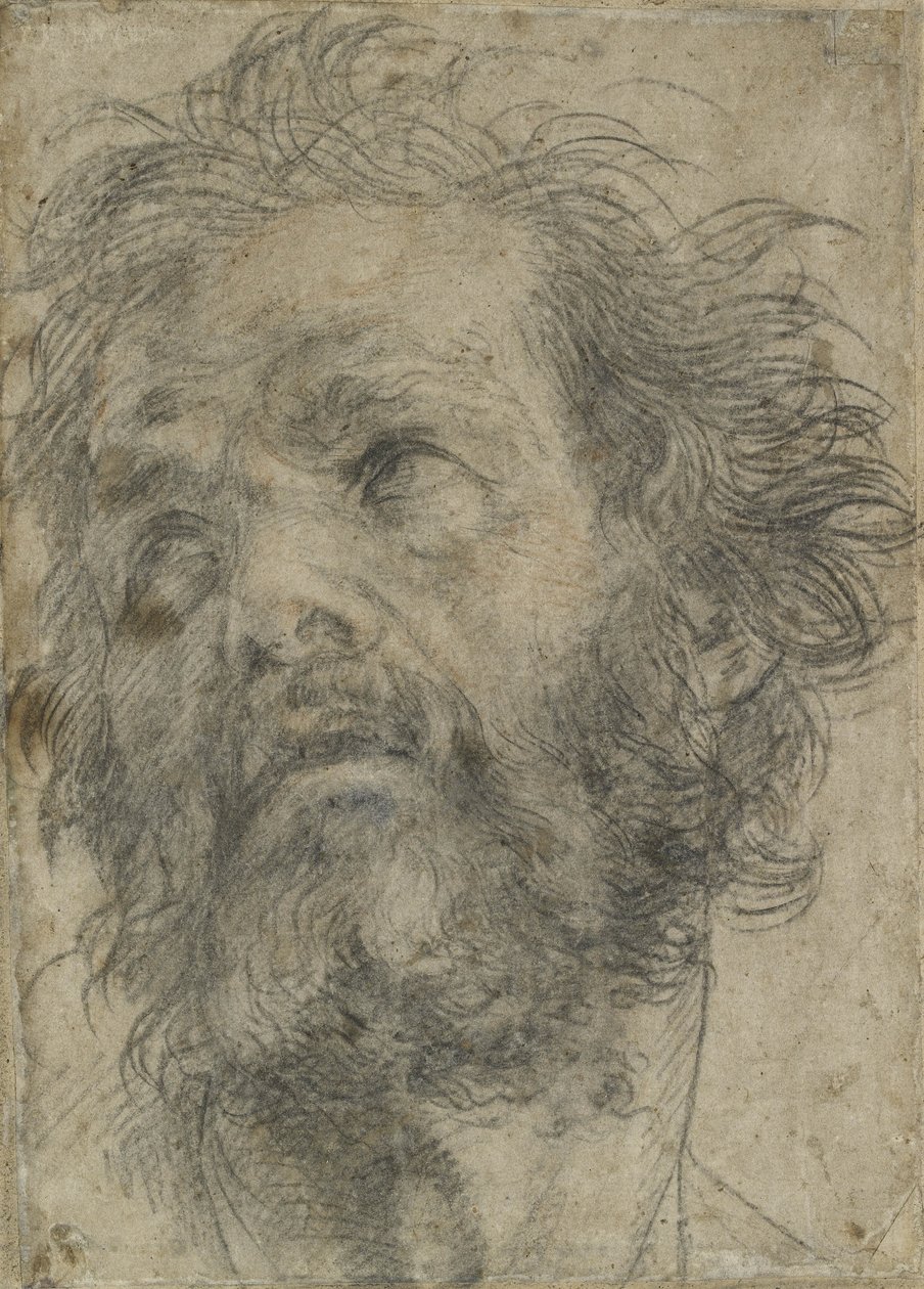Uma cabeça de um homem (giz preto sobre papel) de Andrea del Sarto