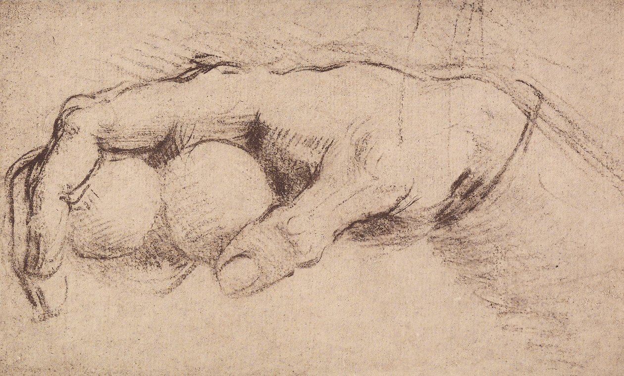 Uma mão; desenhando de Andrea del Sarto