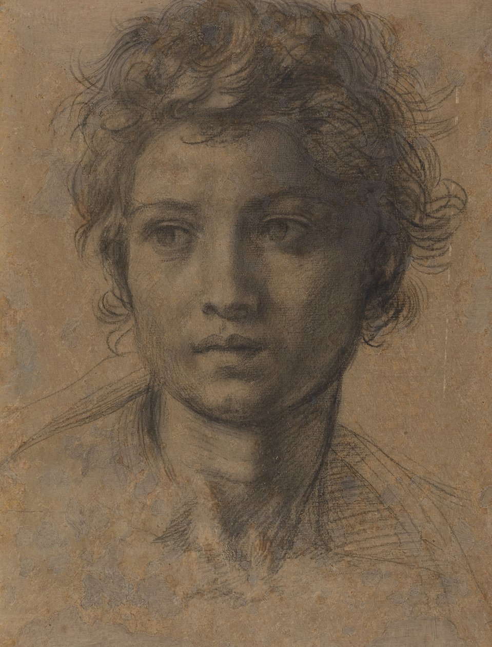 Cabeça de São João Batista de Andrea del Sarto